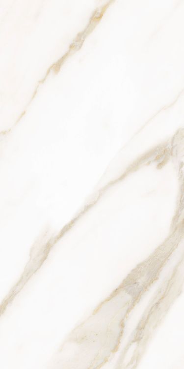 Classy Warm White Matte 12 x 24